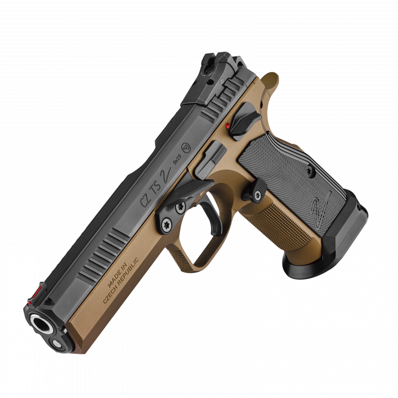 cz_ts_2_deep_bronze_3d_l